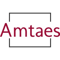 AMTAES logo - Similar company to Aemes Smart