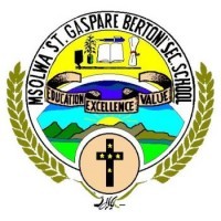 Msolwa St. Gaspare Bertoni Seconday School logo - Similar company to Loyola Led Enterprises