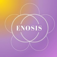 Enosis Sciences Po Strasbourg logo - Similar company to Project Tempo