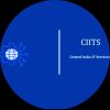 Central India IT Services logo - Similar company to Global It Edge
