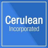 Cerulean Inc (Guyana) logo - Similar company to Salesops Support