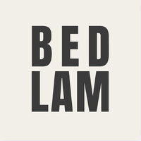 BEDLAM logo - Similar company to Pipevisioniq