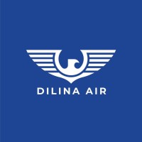 Dilina Air logo - Similar company to Dilinabiz