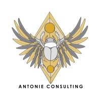 Rising Dragon Consultants(Pty) Ltd t/a Antonie Consulting logo - Similar company to Dragon Consulting (Pty) Ltd