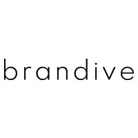 Brandive logo - Similar company to Brandive