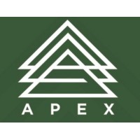APEXCAPITALASIA.LTD logo - Similar company to Exo Advisory Group