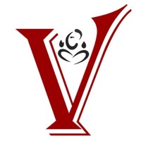 VINAYAK CONSULTANCY & SERVICES PTE LTD logo - Similar company to Avm Technology