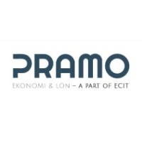 Pramo Ekonomi & Data AB | A part of ECIT logo - Similar company to Access Revision Ab
