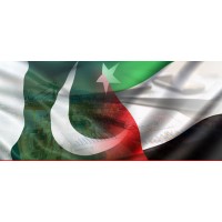 Pakistanis In Dubai logo - Similar company to Tech10 Pakistan
