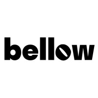 Bellow logo - Similar company to S-1