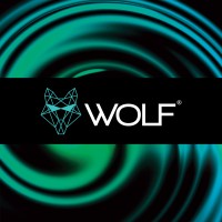 WOLF logo - Similar company to Cipher Group