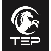 Techno Electro Power logo - Similar company to Mega Digital Solutions W.L.L