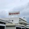 SHARP India Appliances logo - Similar company to Sharp India