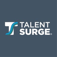 Talent Surge logo - Similar company to American Databank - A Disa Healthcare Company