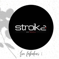 Stroika India logo - Similar company to Stroika India