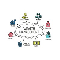 Summit Wealth Management logo - Similar company to Enclave, Llc