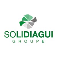 SOLIDIAGUI logo - Similar company to Wonitrans