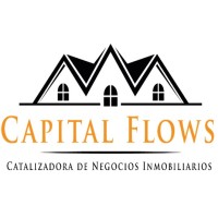 Capital Flows logo - Similar company to Master Cracks