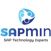 SAPMiN Basis Services logo - Similar company to Ciberkon