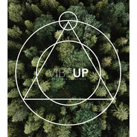 VIBEUP logo - Similar company to Vibeup Today Llc