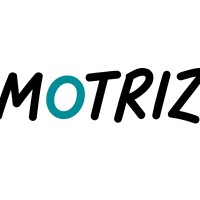 Motriz Distribuidora logo - Similar company to Webev