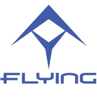 Dongguan Flying Technology Co., Ltd logo - Similar company to Dongguan Elegant Craft Co., Ltd.