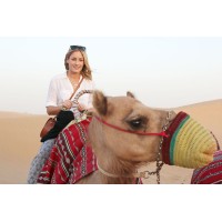 Abu Dhabi Desert Safari Tour logo - Similar company to Desert Safari Dubai | Desert Leap Safari Tourism L.L.C