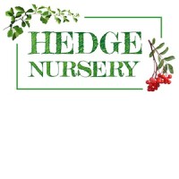 Hedge Nursery logo - Similar company to Iconic Lights
