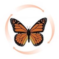 Monarch Financial Advisors logo - Similar company to Monarch Financial Services