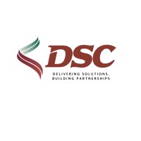 Desert Sands Consulting logo - Similar company to Rfsoftlab