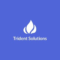 Trident Solutions logo - Similar company to Trident Solutions, Llc
