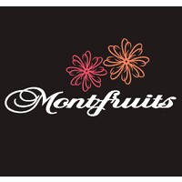 MONTFRUITS EXPORT S.L logo - Similar company to Gastroteca