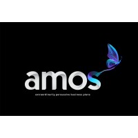 Amos + Advisors