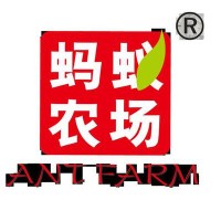 蚂蚁农场