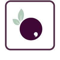 Blueberry Studio - Career and Life Design logo - Similar company to Xoia Studio