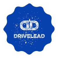 DriveLead logo - Similar company to Sky Content