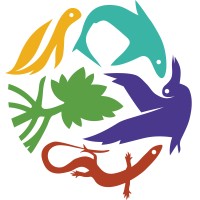 Nature Foundation Sint Maarten logo - Similar company to Saba Conservation Foundation