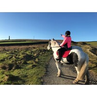 Margaret Haes Riding Centre Ltd