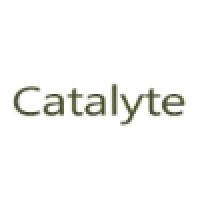 Catalyte logo - Similar company to Branecell
