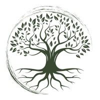 Metavision Institute logo - Similar company to Tranquillo Place