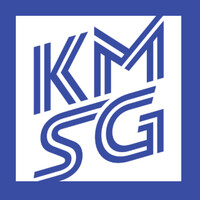 KM Strategies Group logo - Similar company to Wellbotics
