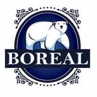 BOREAL ® logo - Similar company to Injesul Plasticos Ind E Com Ltda