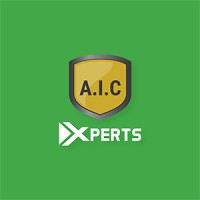AICEXPERTS logo - Similar company to Aice Xpert