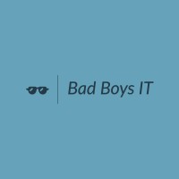 Bad Boys IT logo - Similar company to Notary Professional Services