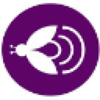 Purple Fly Ltd logo - Similar company to Purpleflysolution(S)