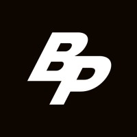 Bellini Partners logo - Similar company to Demas Digital