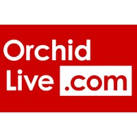 Orchid Live logo - Similar company to Cornerstone