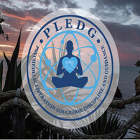 PLEDG Non Profit logo - Similar company to I'M Brett Jackson!