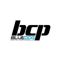 Bluedog Capital Partners, LLC logo - Similar company to 195 District
