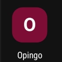 Opingo logo - Similar company to Made For Solution
